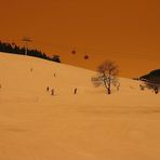 Wüste über den Alpen die II.