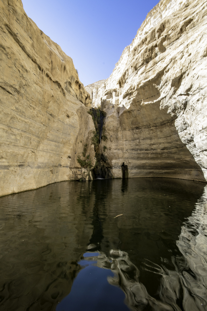 Wüste und Wasser