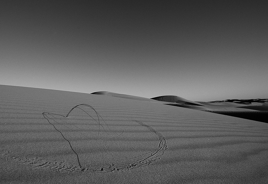 Wüste und Zweig von Harry Vau