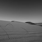 Wüste und Zweig von Harry Vau