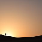 Wüste von Dubai/VAE / Desert of Dubai/UAE