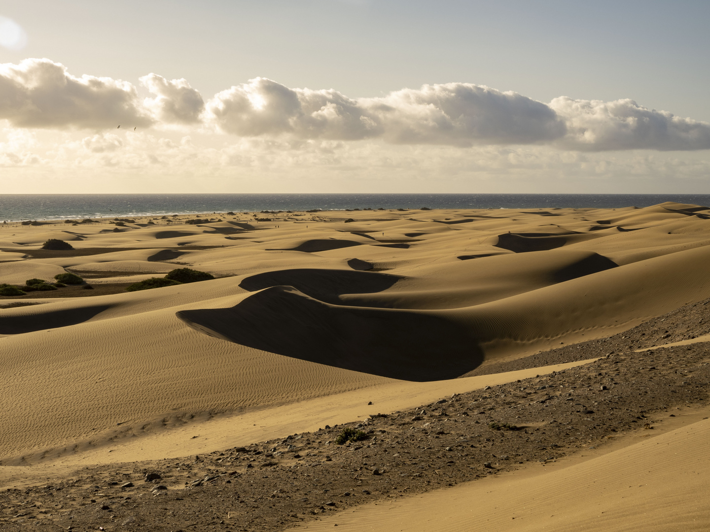 Wüste von Maspalomas 2