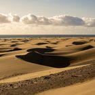 Wüste von Maspalomas 2