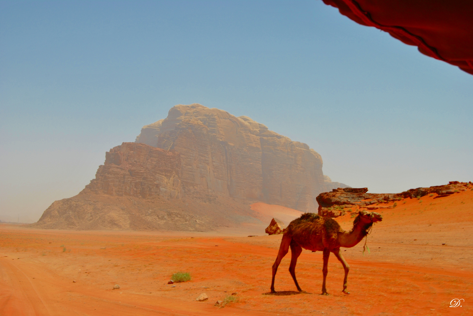 Wüste Wadi Rum, Jordanien