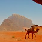 Wüste Wadi Rum, Jordanien