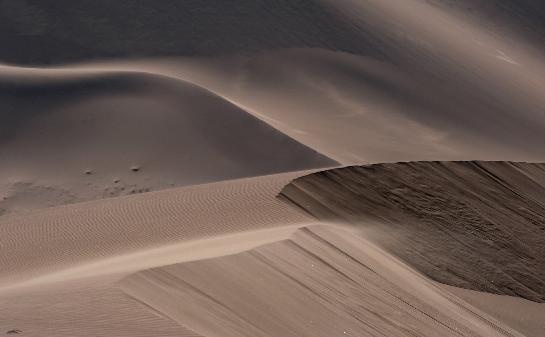 Wuesten-diagonale - desert diagonals