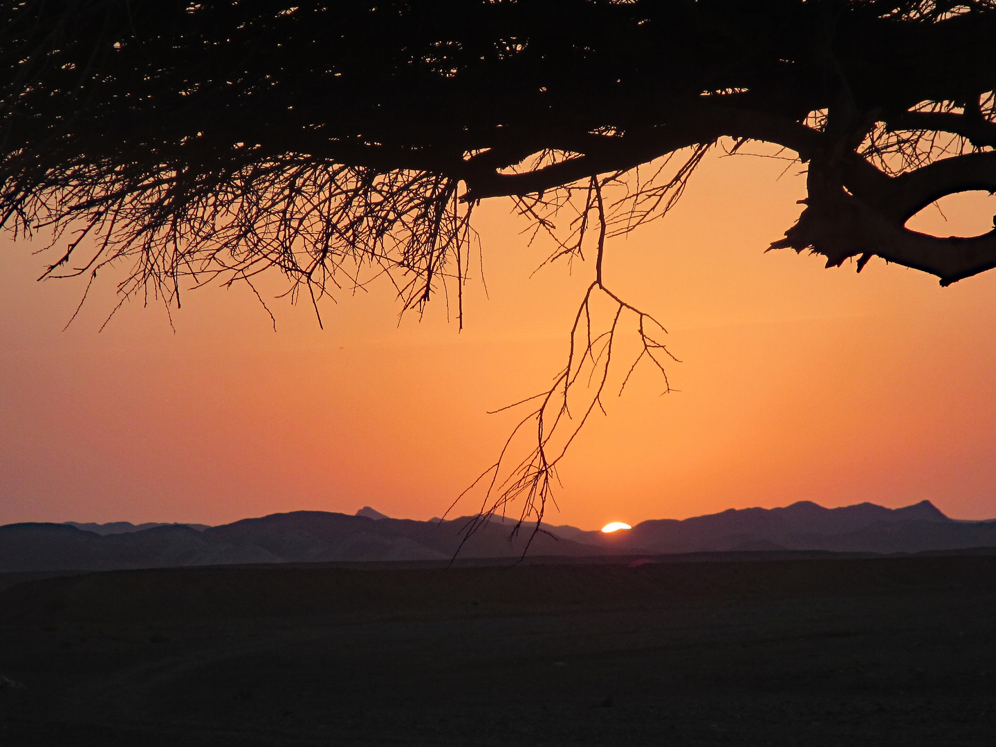 Wüsten Sonnenuntergang