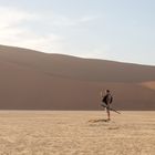 Wüsten-Tourist