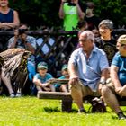 Wüstenbussard bei Poing Wildpark