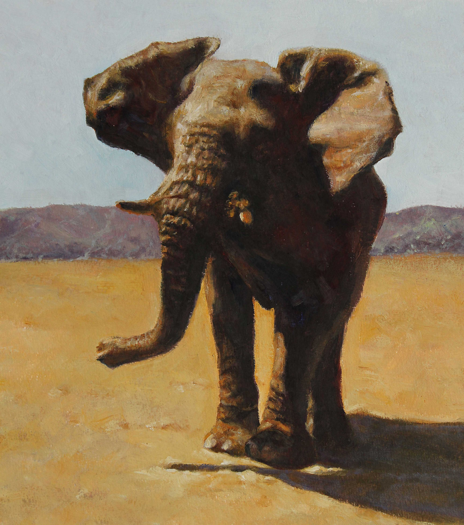 Wüstenelefant - Namibia