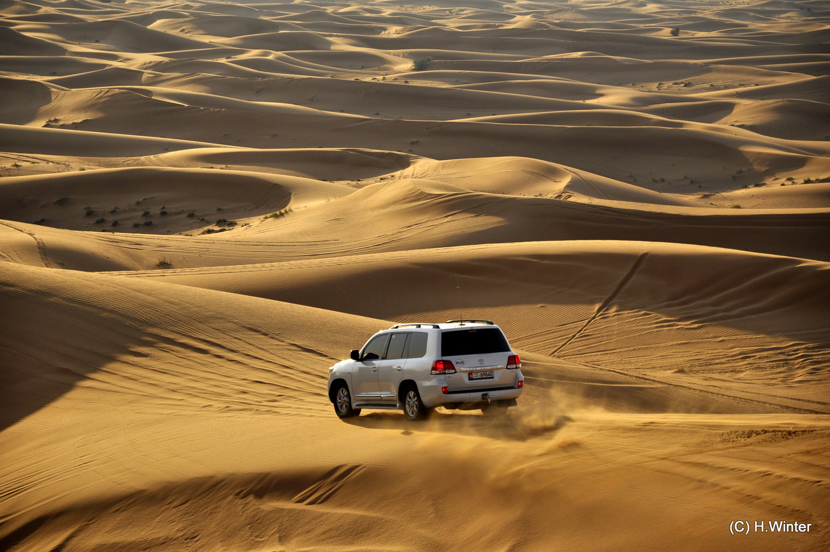 Wüstenfahrt bei Dubai
