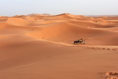 Wüstenidylle im Erg Chebbi im Süden von Marokko