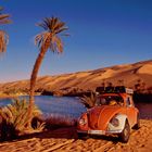 Wüstenkäfer - Mit einem VW-Käfer durch die Libysche Sahara