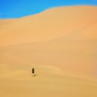 Wüstenläufer