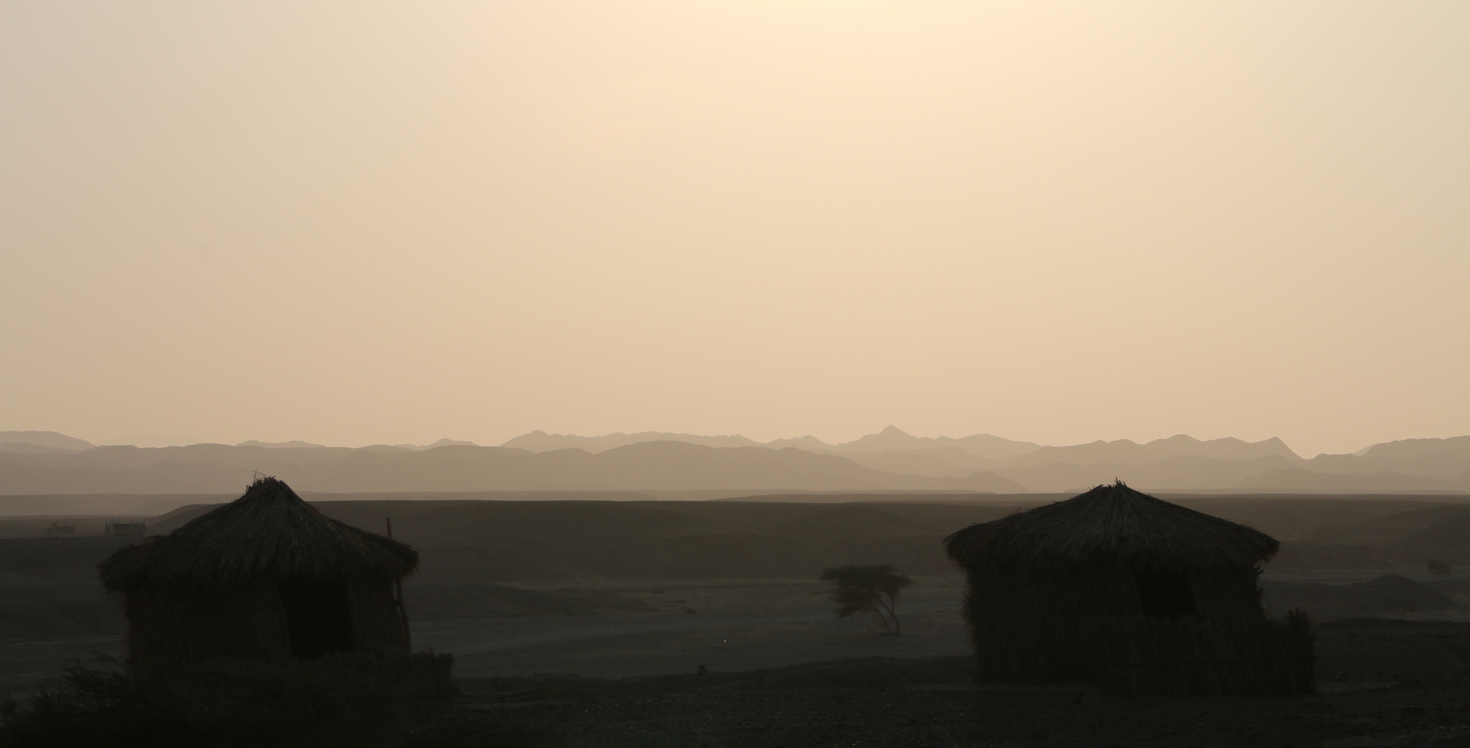 Wüstenlandschaft