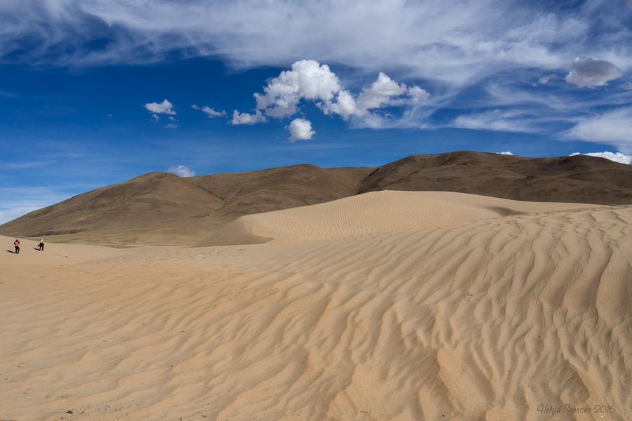 Wüstenlandschaft