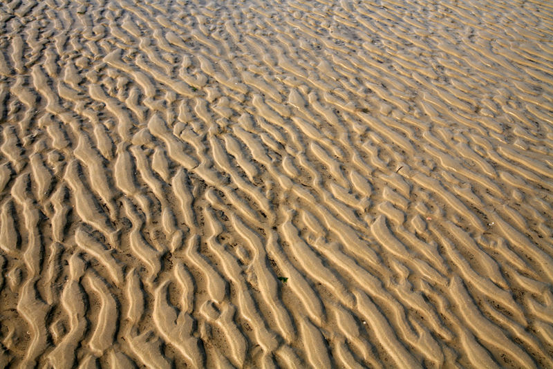 Wüstenlandschaft