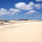 Wüstenlandschaft auf Fuerte