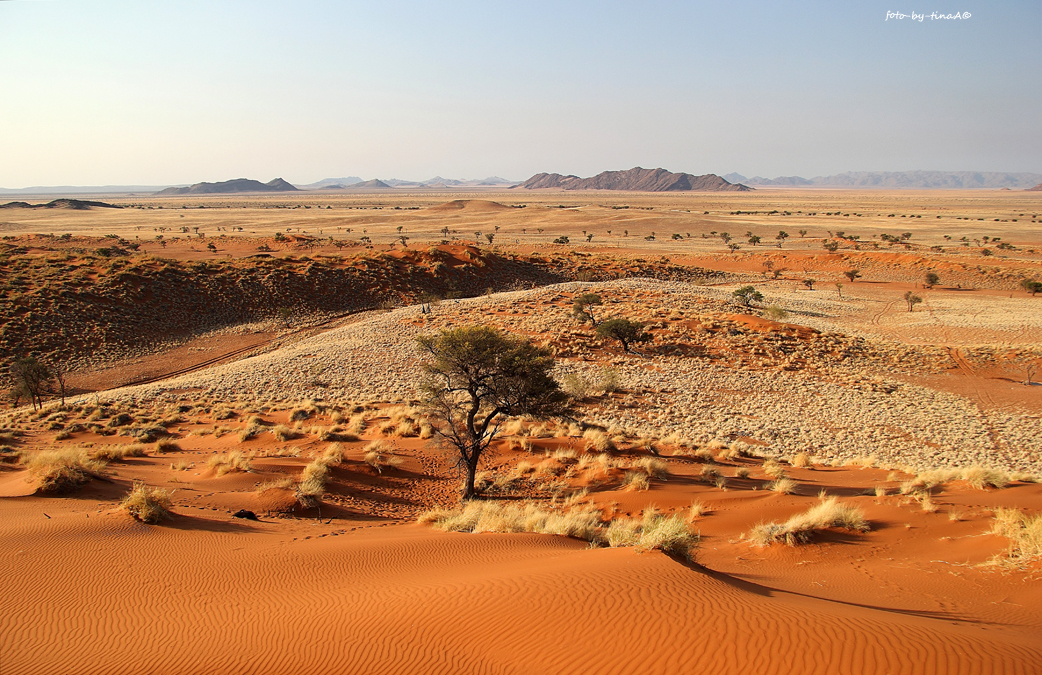 Wüstenlandschaft - NamibRand