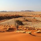 Wüstenlandschaft - NamibRand