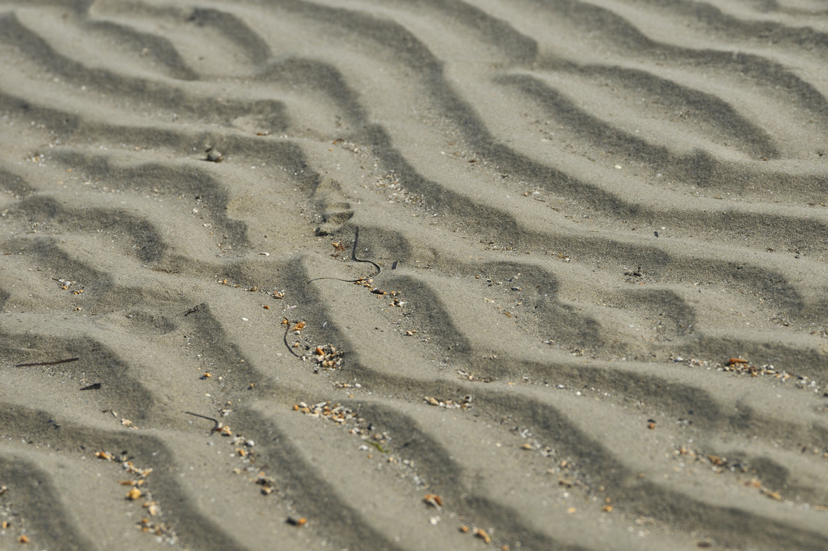 Wüstenlandschaft unter Wasser