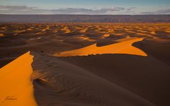 Wüstenmeer