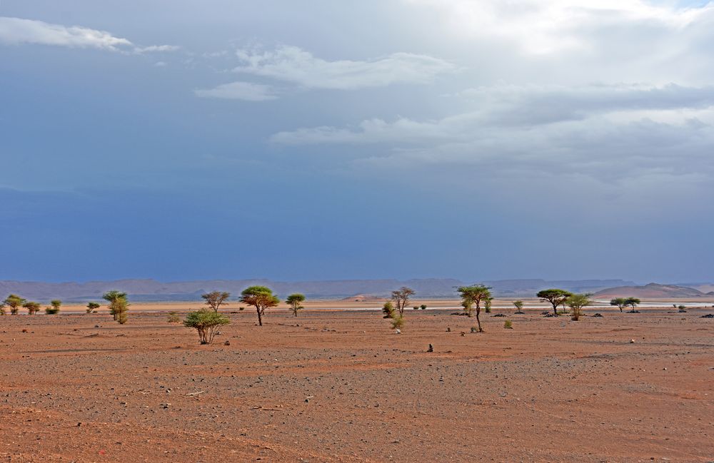 Wüstenpanorama bei Tafraout Hassi Fougani 