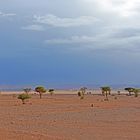 Wüstenpanorama bei Tafraout Hassi Fougani 