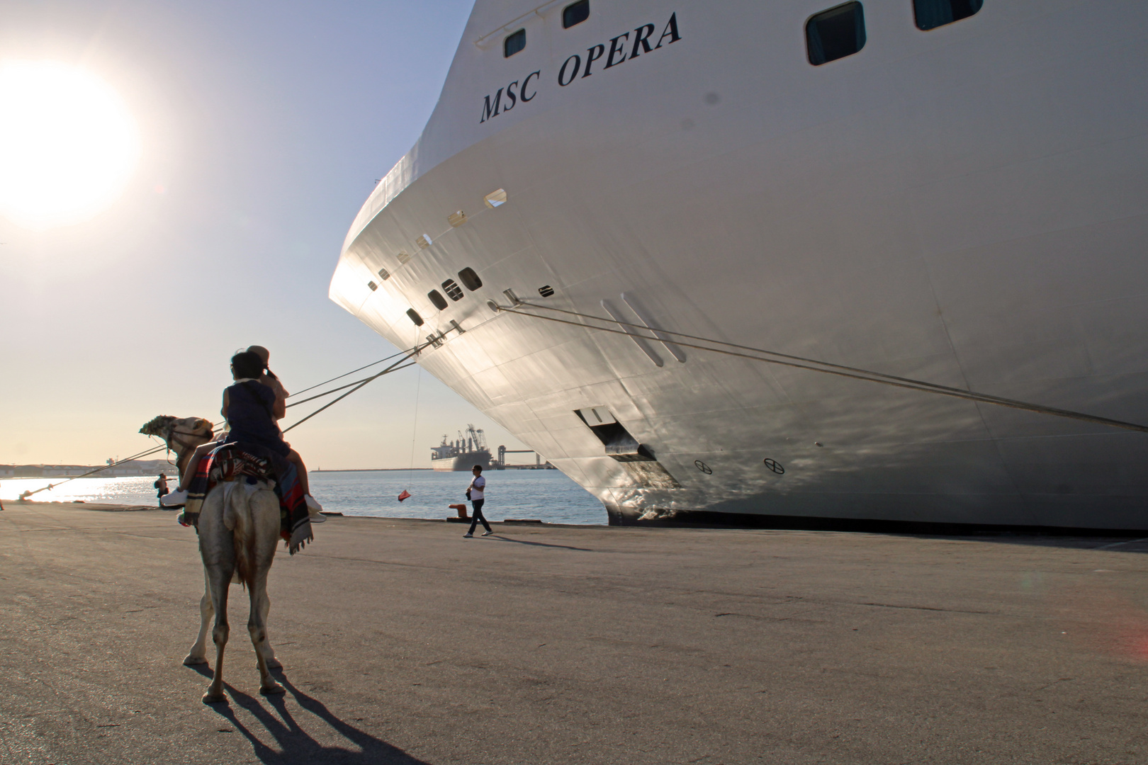 Wüstenschiff vs. Passagierschiff Foto & Bild urlaub, reisen, afrika
