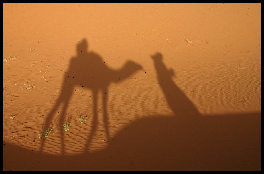 Wüstentrip in Merzouga, Marokko