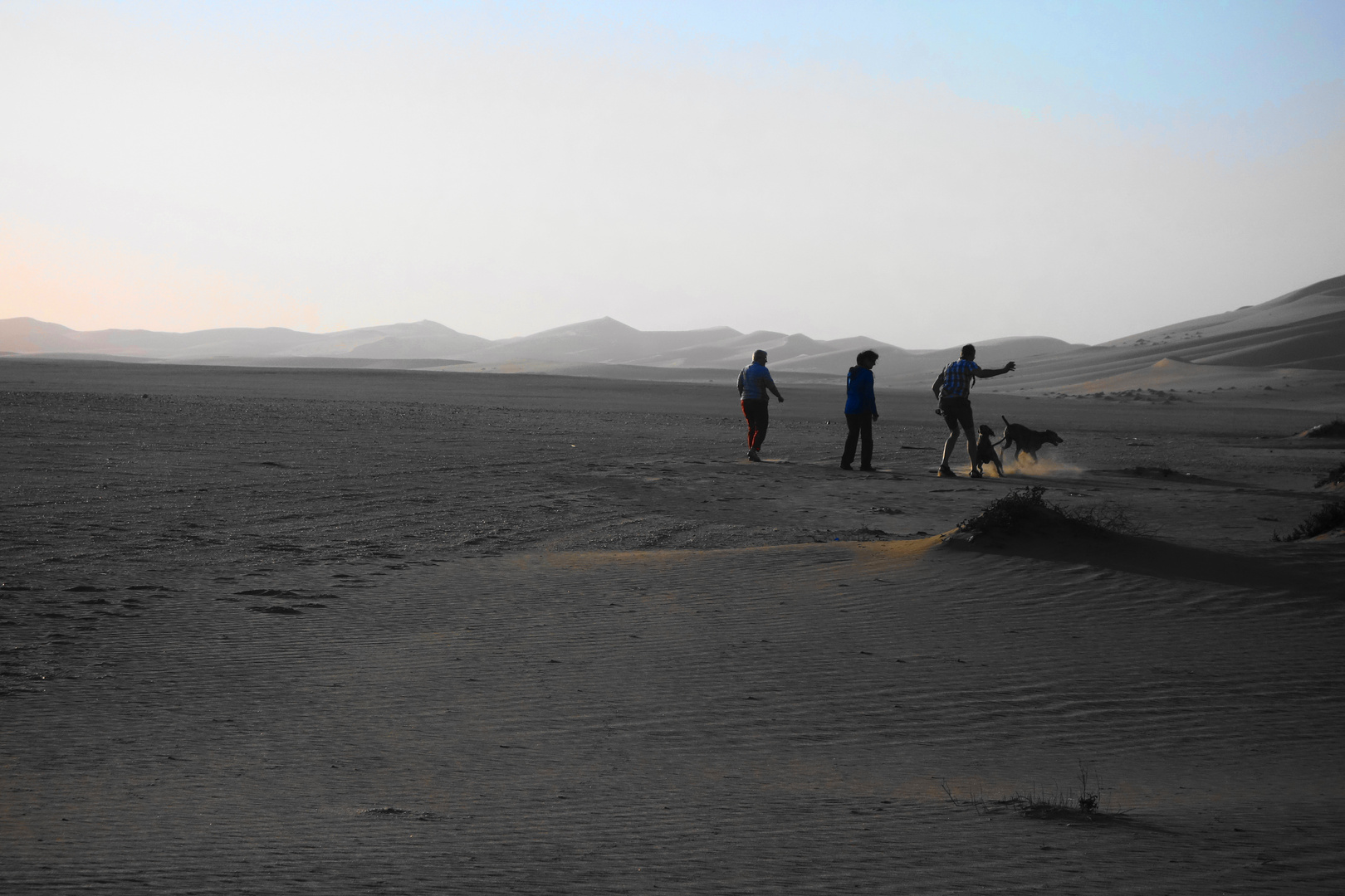 Wuestenwanderung  in die "Blaue Stunde"hinein