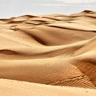 "Wüstenzauber " - die Sahara -