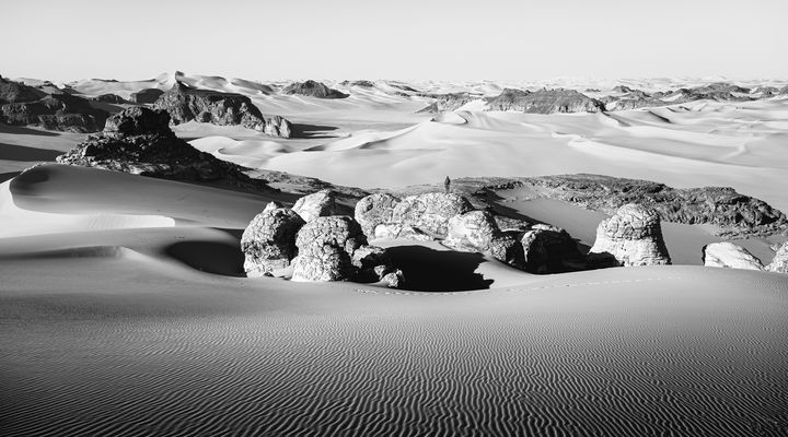 Wüstenzauber in S/W