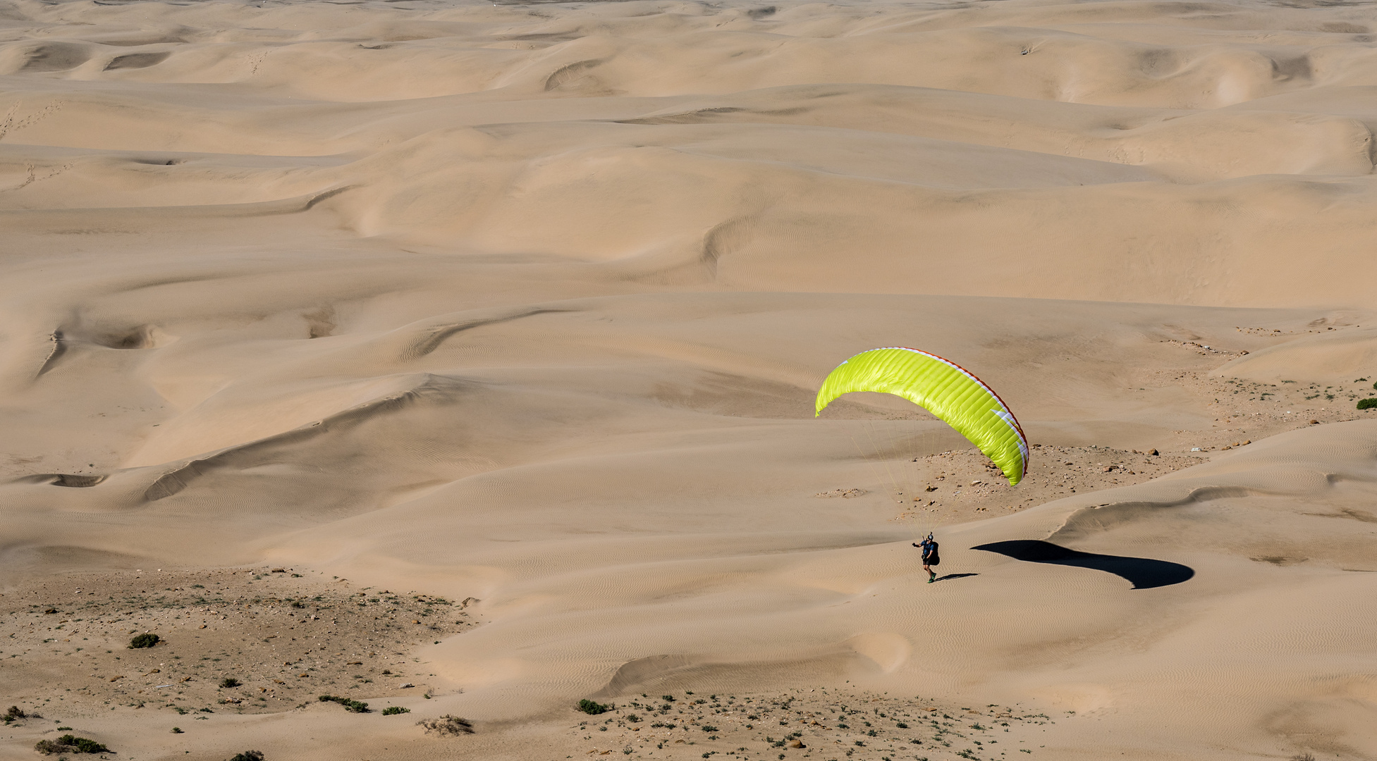 Wüstes Fliegen 