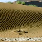 Wüstes Profil