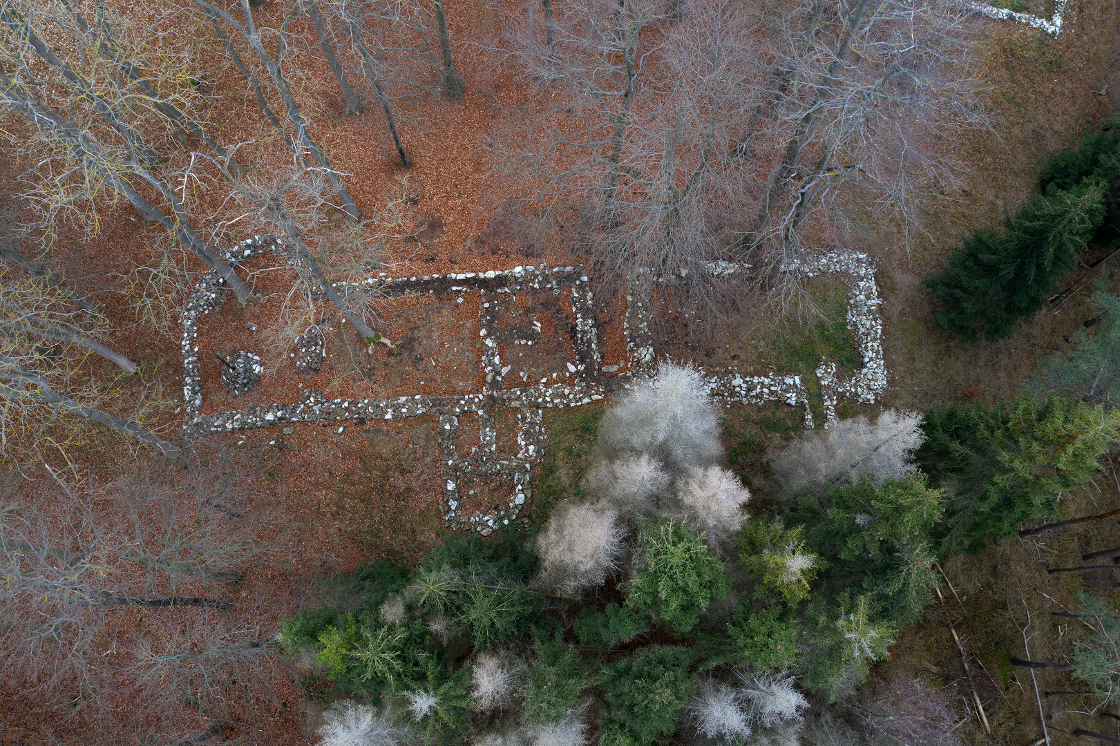 Wüstung Bodfeld mitten im Wald