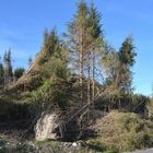 Wütende Winde