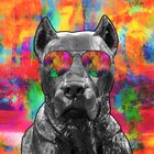 Wuff, wuff