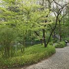 Wuhan-Garten II
