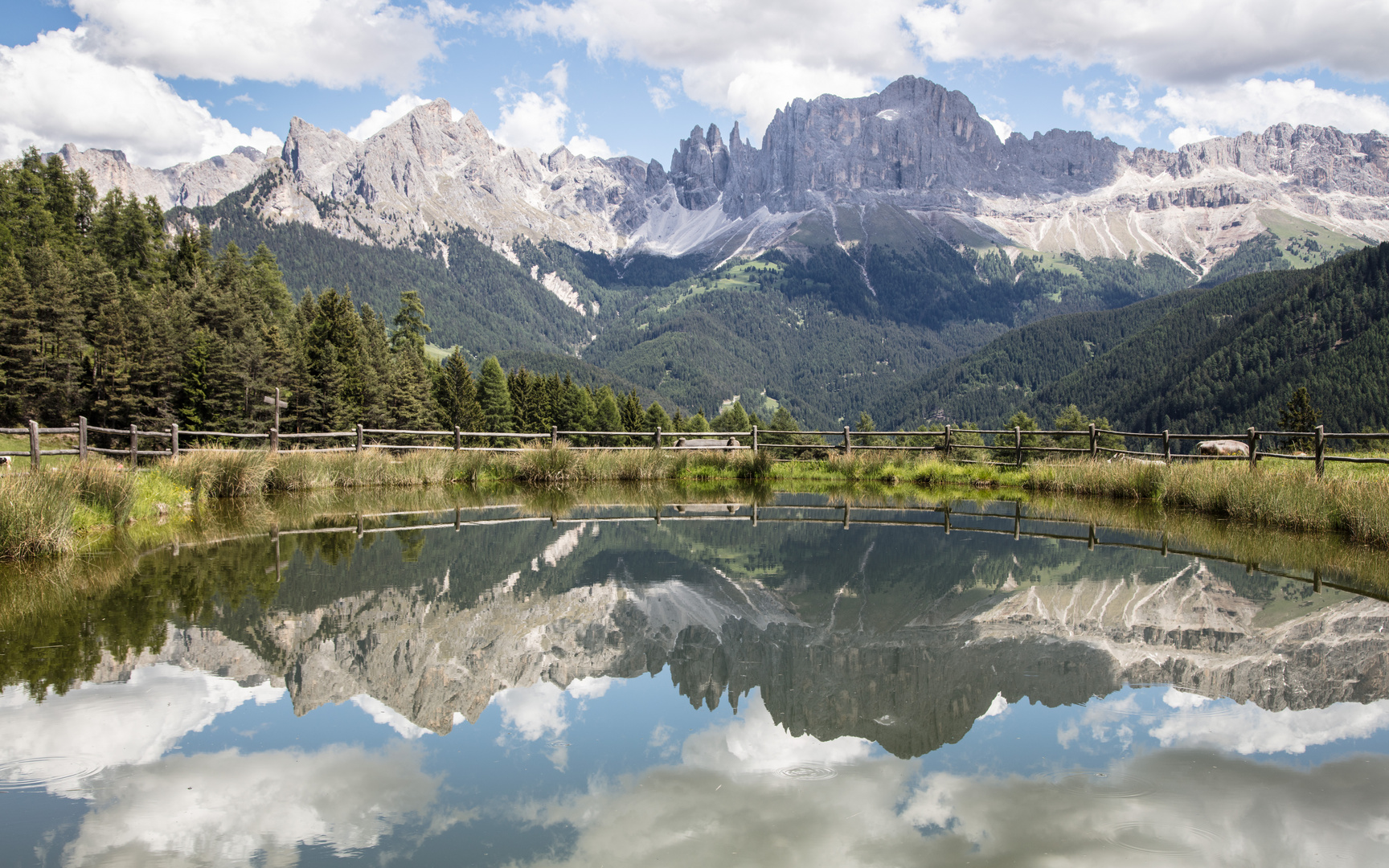 Wuhnleger Löschteich mit Blick auf den Rosengarten