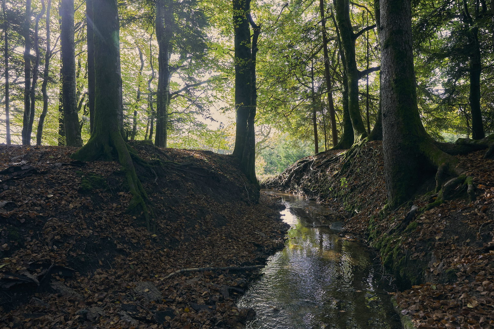 Wuhren im Hotzenwald