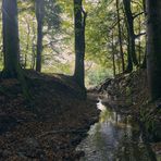 Wuhren im Hotzenwald