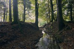 Wuhren im Hotzenwald