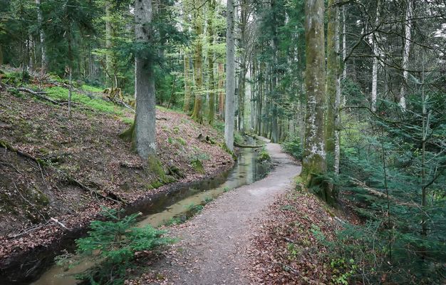 Wuhrenwanderung
