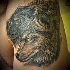 Wulf