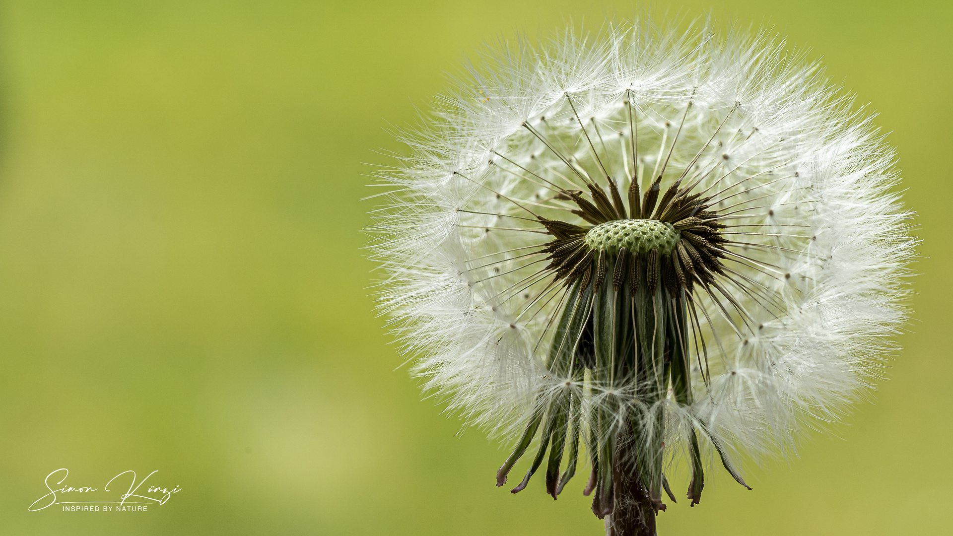 Wunder der Natur