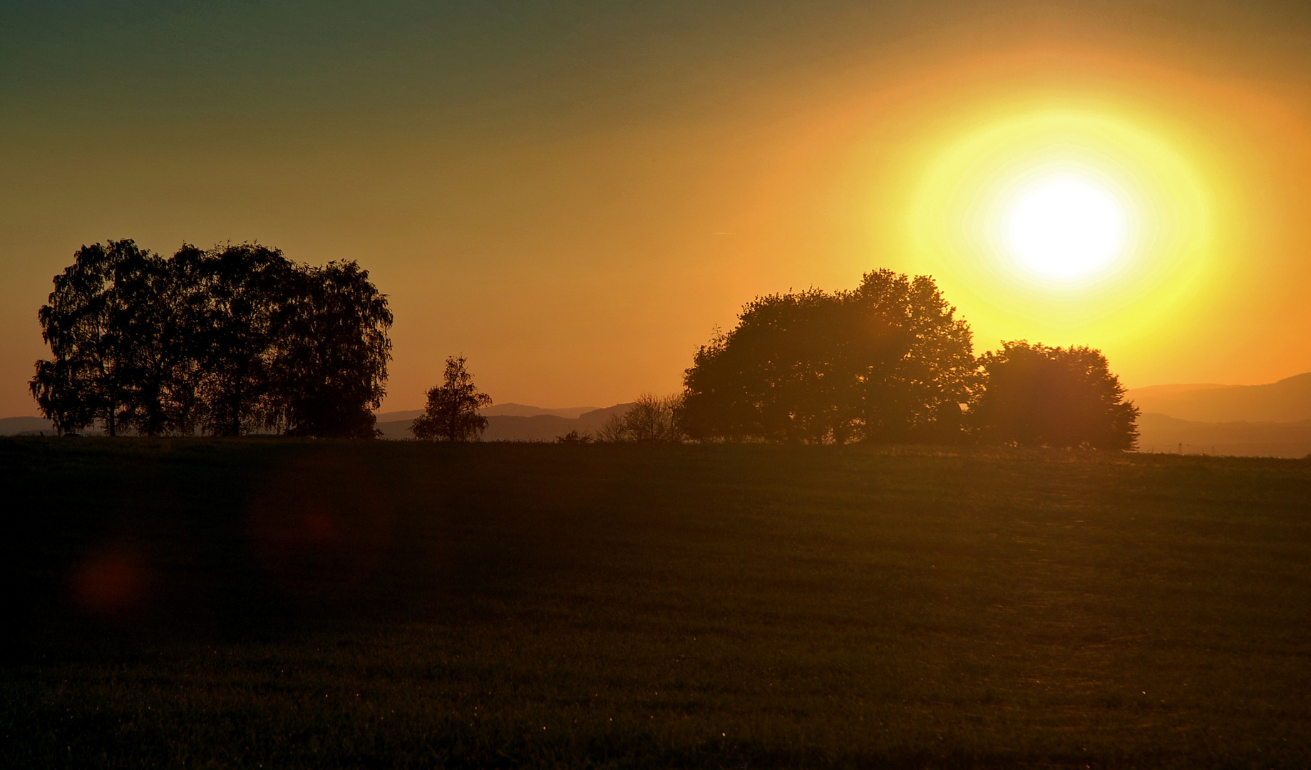 Wunder der Natur