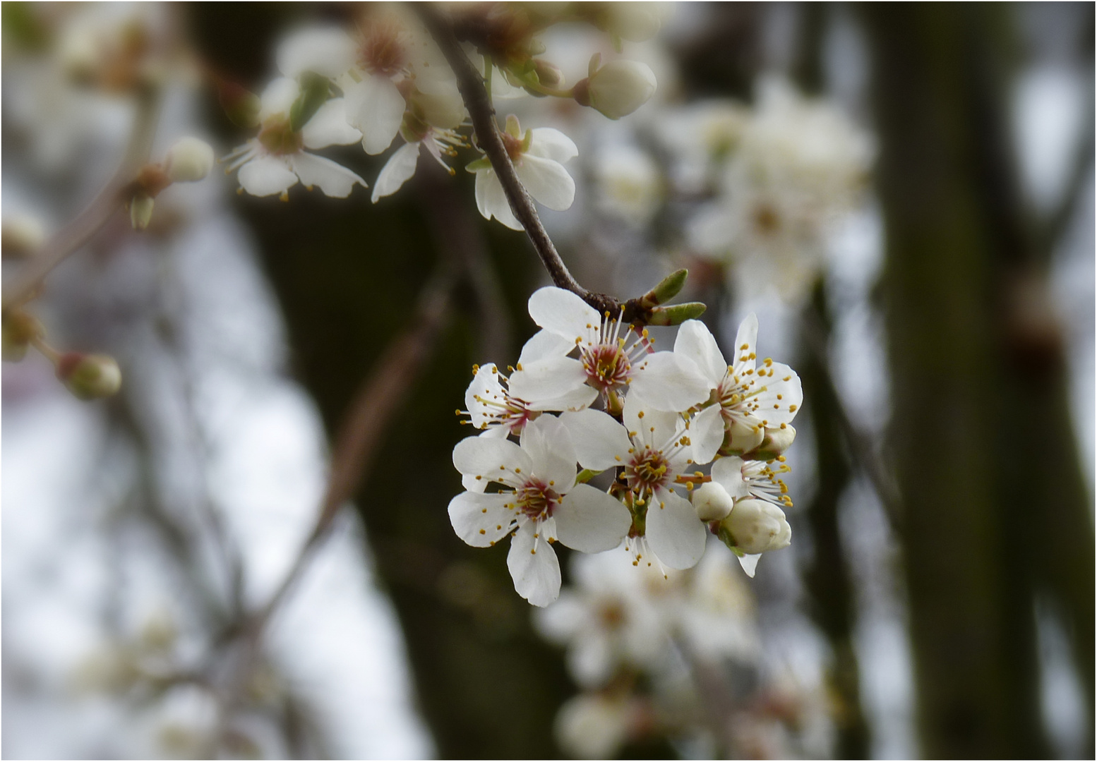 Wunder der Natur