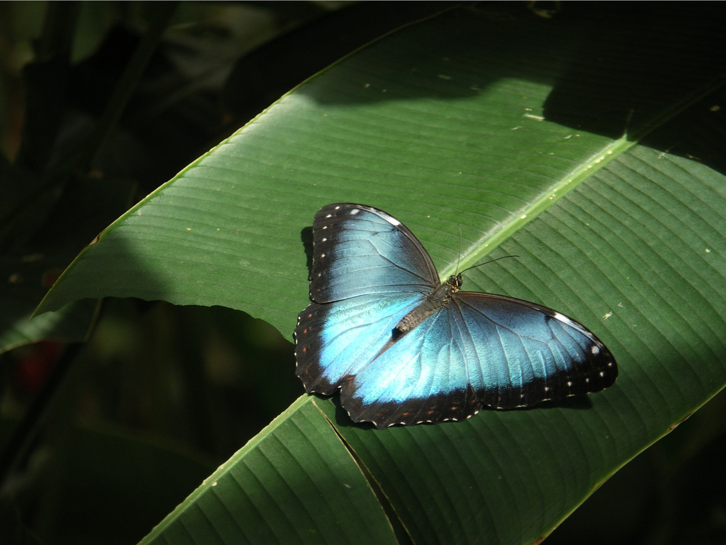 Wunder der Natur