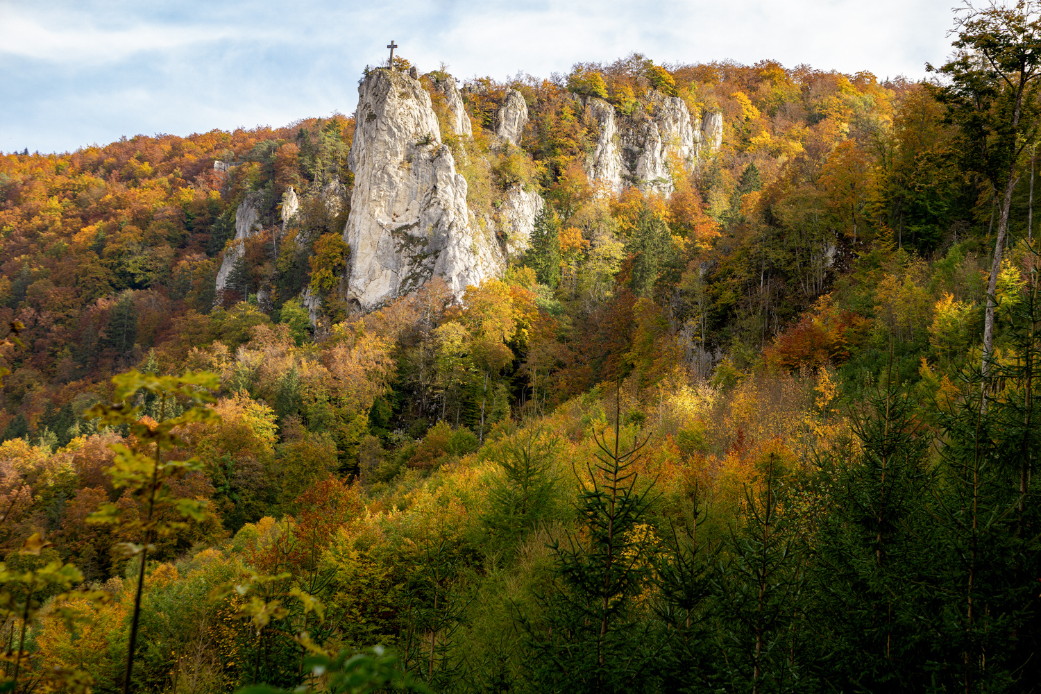 Wunder der Natur